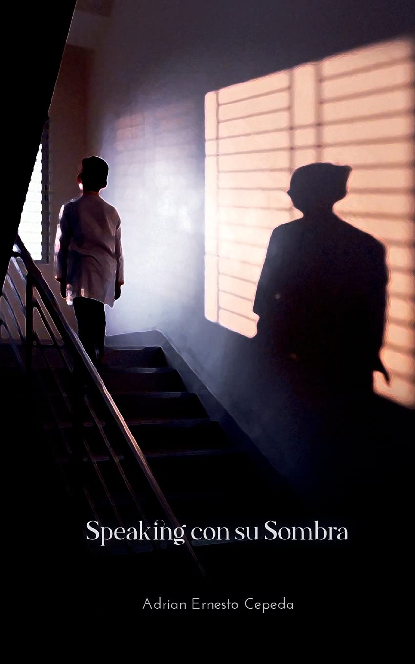The front cover of the book speaking con su sombra. A boy is standing on a flight of stairs and his shadow is cast on the wall next to him.