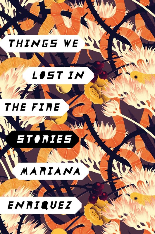 Things we lost in the fire stories book cover