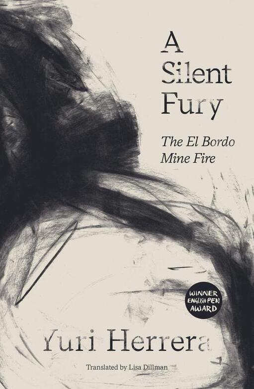 Book cover of a silent fury.