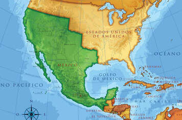 immigration and the treaty of guadalupe essay