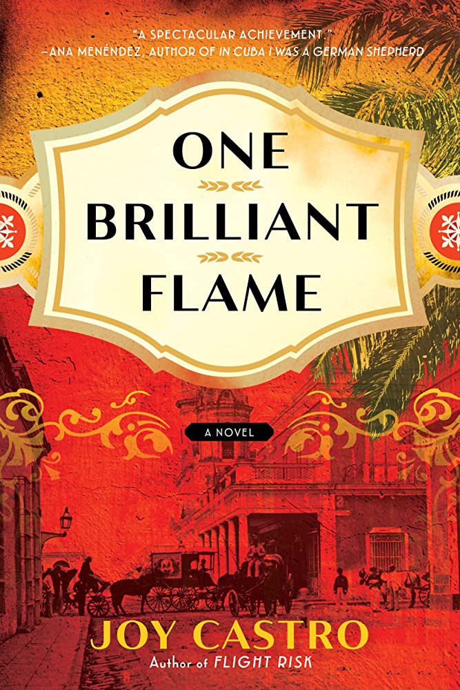 one brilliant flame book cover