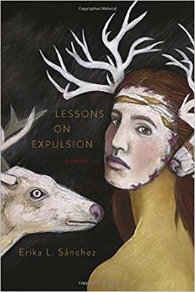 lessons on expulsion book cover