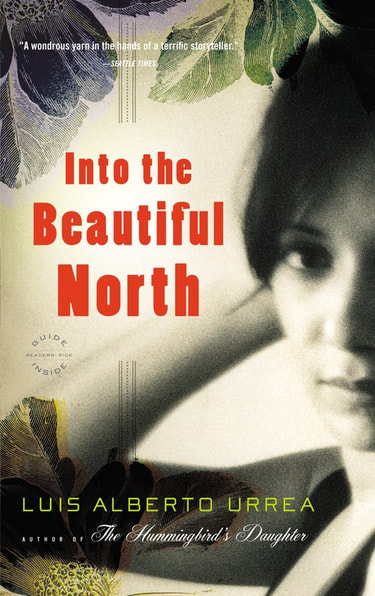 into the beautiful north book cover