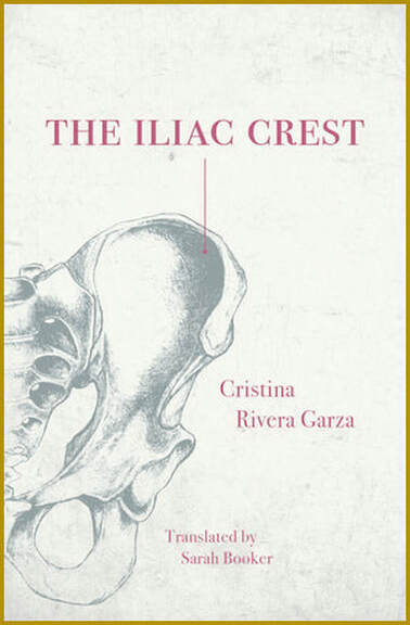 the lilac crest book cover