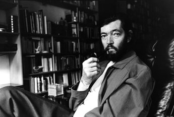 Instructions to Read Cortazar book review