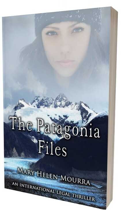 the patagonia files book cover