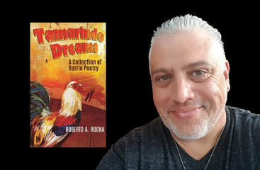 Tamarindo dreams by Roberto A Rocha book review